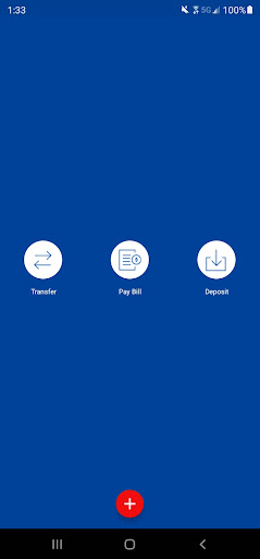 C1stBusiness Mobile Screen 3