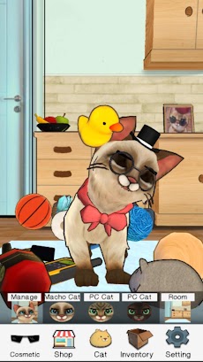 Macho Cat : 可愛い ペットネコ無料育成ゲームのおすすめ画像3
