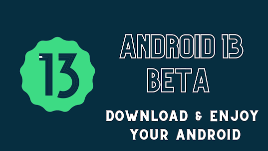 Android 13 Update - Beta