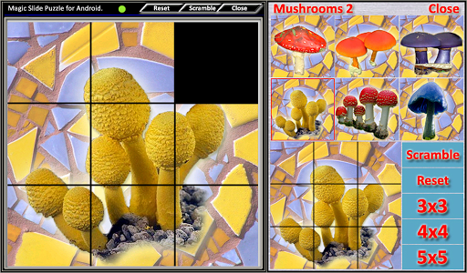 Magic Slide Puzzle Mushrooms 2
