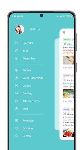 Screenshot of Tags & Diary
