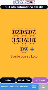 Loteria Nueva York Apk For Android 5