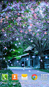 Sakura Live Wallpaper For PC installation