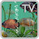Oscar Fish Aquarium TV - 4k Live Fish App icon
