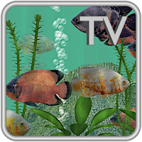 Oscar Fish Aquarium TV - 3D Live Fish App