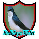 Budidaya Walet icon