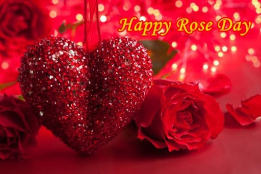 Android application Happy Rose Day screenshort