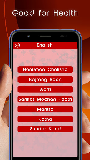 Hanuman Chalisa & Mantra Screen 3