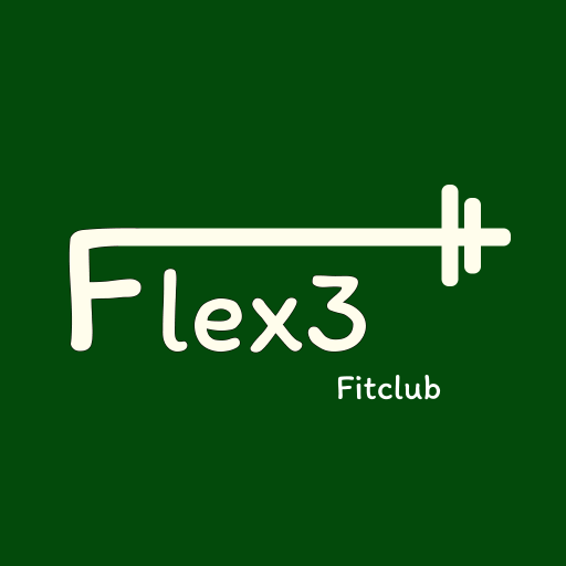 Flex3 logo