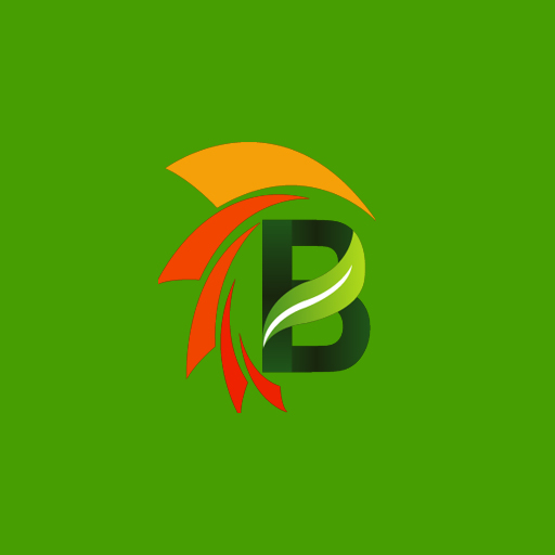 Bright Digital UAE logo