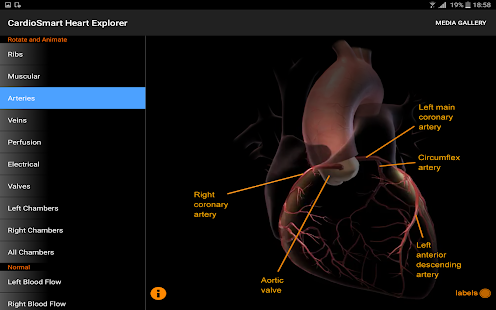CardioSmart Heart Explorer Screenshot