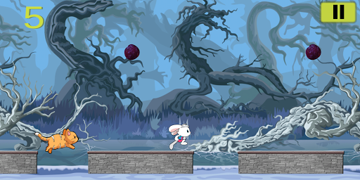 Katty Race Run Bunny Rabbit Run… Free Run 3 Game