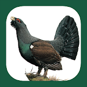 Top 37 Books & Reference Apps Like Birds of Eastern Europe - Best Alternatives