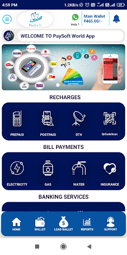 PaySoftWorld Screen 3