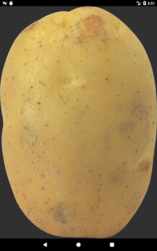 Potato Screen 3