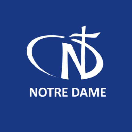 Rede Notre Dame