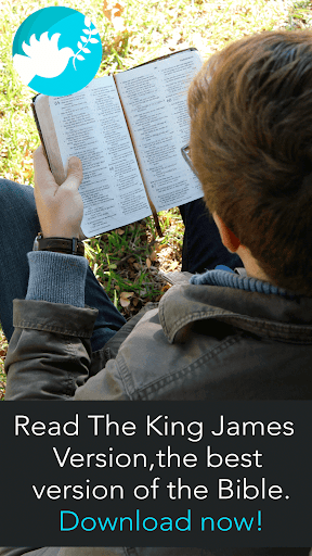 King James Bible Offline Screen 2