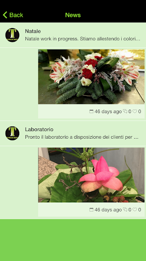 Todeschini Fiori & Co. Screen 2