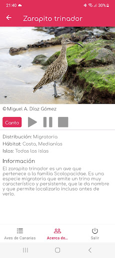 Aves de Canarias Screen 2