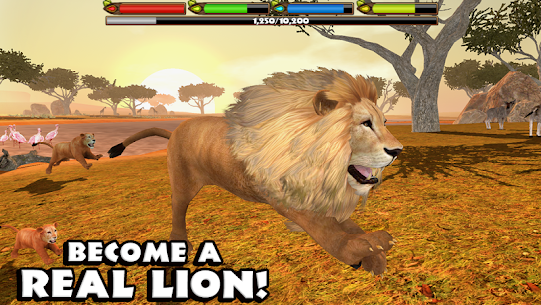 Ultimate Lion Simulator Apk+ Mod 1.2 [Download Free for Android] 1