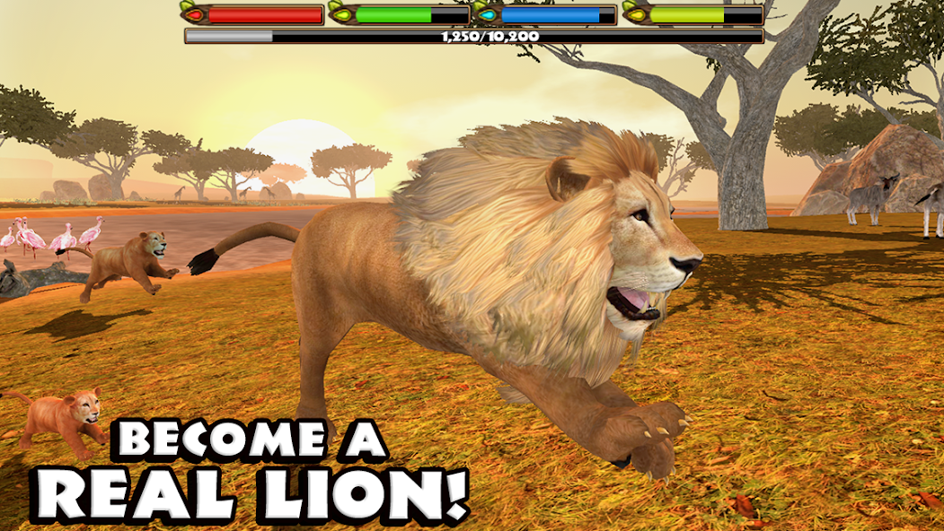 Ultimate Lion Simulator 3.0 APK + Mod (Paid for free / Free purchase) for Android
