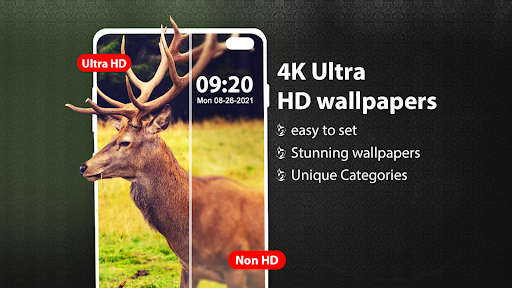 Android application Wallpaper: HD & 4k Wallpapers screenshort
