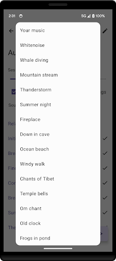 Screenshot of Lis10: Audio Guides