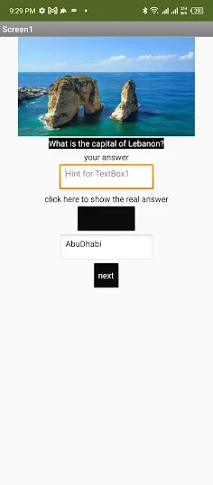 Capital Quiz - Screenshot 3