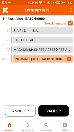 Tigra Delivery Screen 3