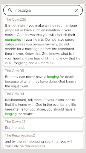 Quran AI Search Screen 3