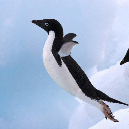 Penguins Wallpapers logo