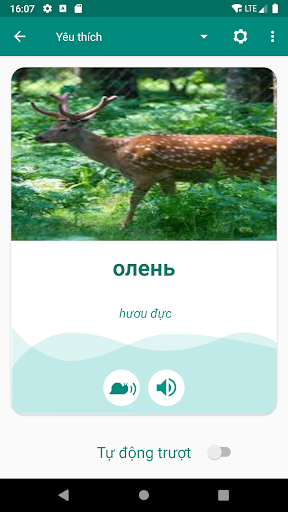 Russian Vietnamese Dictionary Screen 3