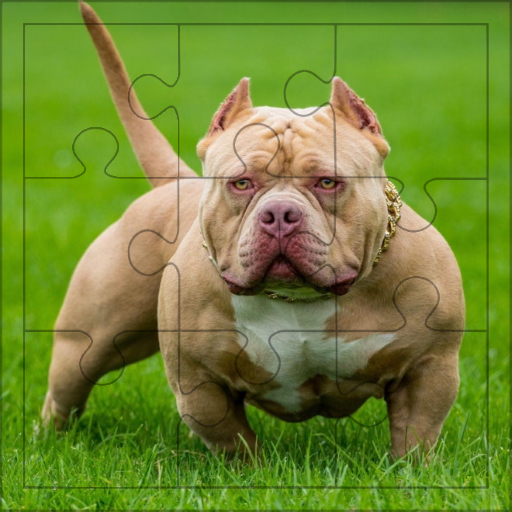 Nice Dogs Puzzles logo