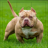 Nice Dogs Puzzles icon