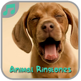 Animal Ringtones icon