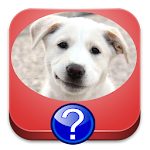 Cover Image of Baixar Dog Breeds Quiz 3.1 APK