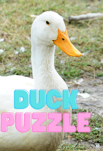 The Duck Picture Puzzle