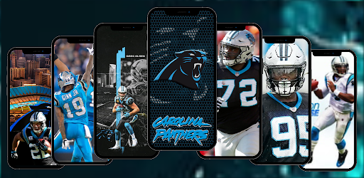 Carolina Panthers Fans