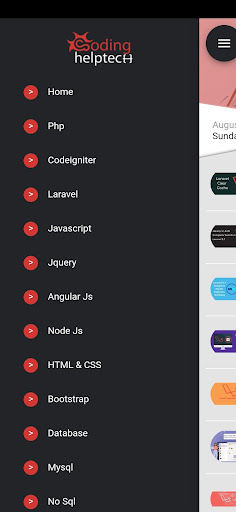 Codinghelptech Screen 2