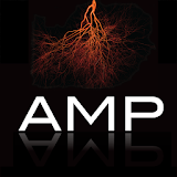 AMP 2014 icon
