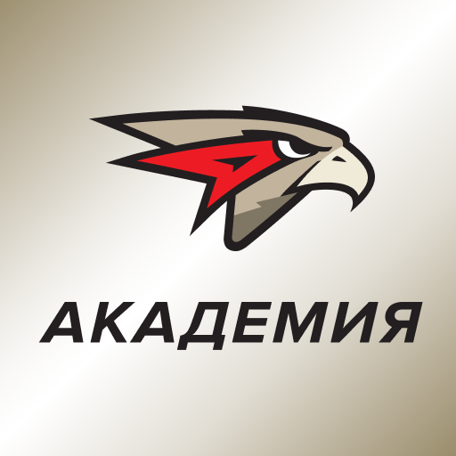 Avangard IT Platform logo