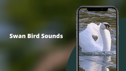 Android application Swan Sounds screenshort