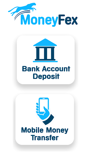 MoneyFex Screen 2