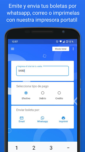 Dtefacil boleta electronica Screen 2