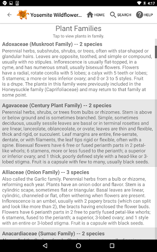 Screenshot of Yosemite Wildflowers