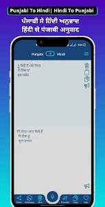 Punjabi - Hindi Translator