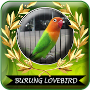 Suara Burung Lovebird Mp3 Offline