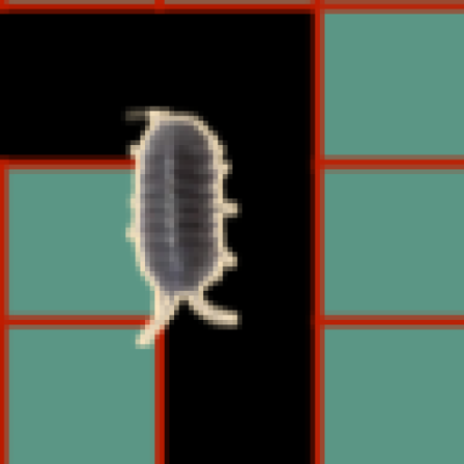 ダンゴムシの迷路 logo