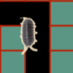 Slika ikone ダンゴムシの迷路