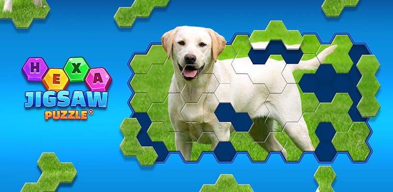 Hexa Jigsaw Puzzle ®